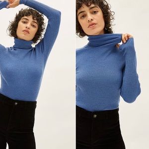 Everlane The Italian Merino Rib Turtleneck in Blue